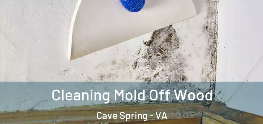 Cleaning Mold Off Wood Cave Spring - VA