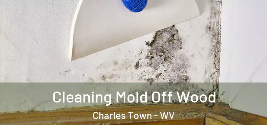 Cleaning Mold Off Wood Charles Town - WV