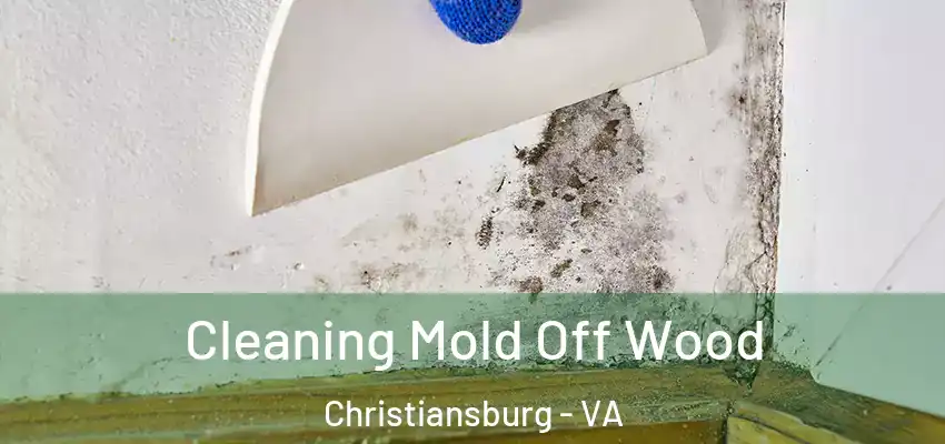 Cleaning Mold Off Wood Christiansburg - VA