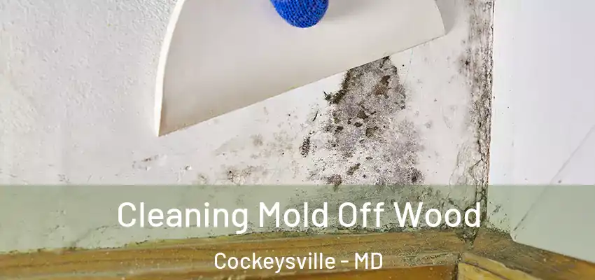 Cleaning Mold Off Wood Cockeysville - MD