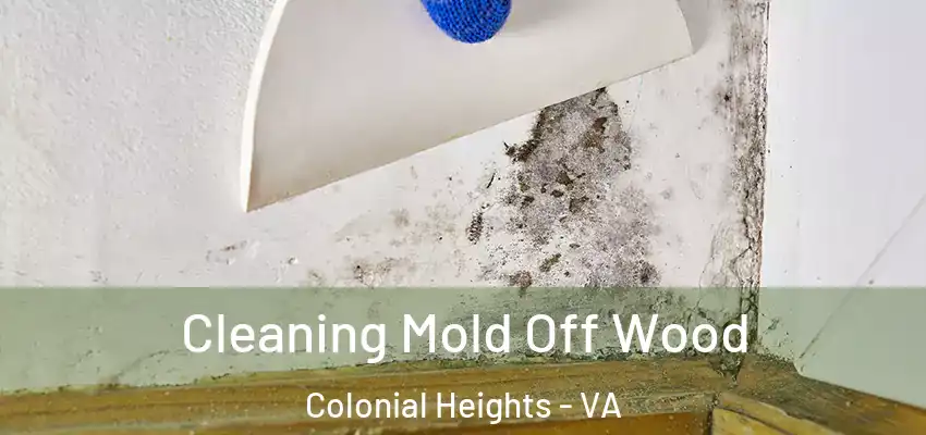 Cleaning Mold Off Wood Colonial Heights - VA