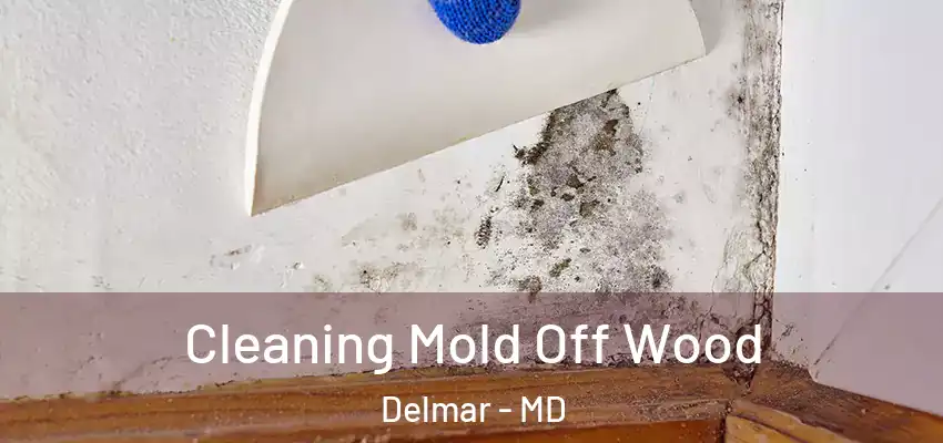  Cleaning Mold Off Wood Delmar - MD