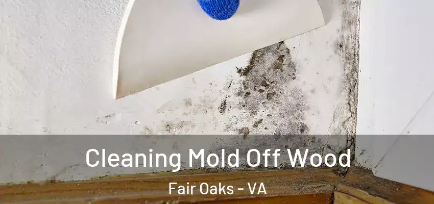 Cleaning Mold Off Wood Fair Oaks - VA