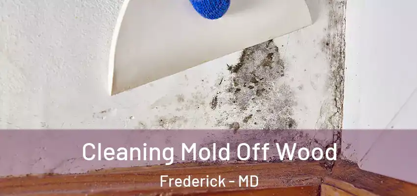  Cleaning Mold Off Wood Frederick - MD