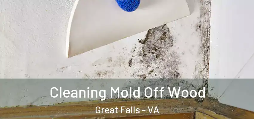 Cleaning Mold Off Wood Great Falls - VA