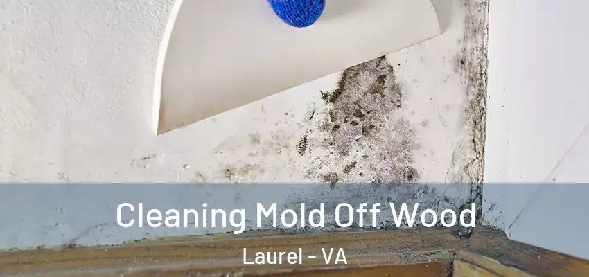  Cleaning Mold Off Wood Laurel - VA