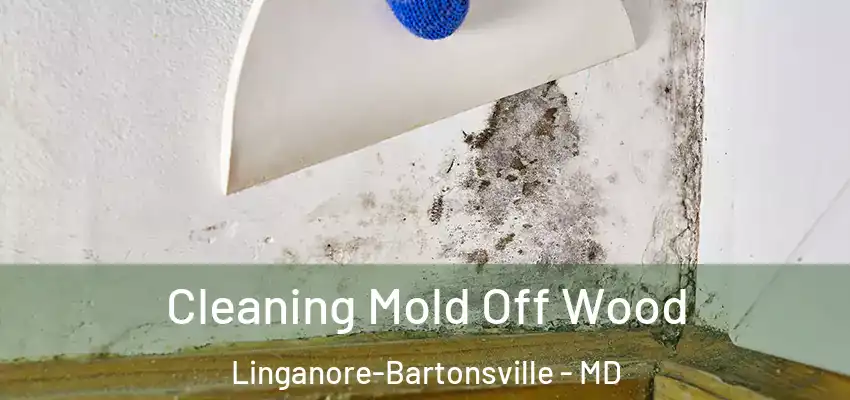 Cleaning Mold Off Wood Linganore-Bartonsville - MD