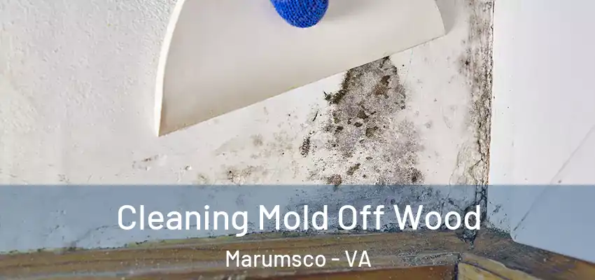  Cleaning Mold Off Wood Marumsco - VA