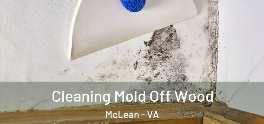  Cleaning Mold Off Wood McLean - VA