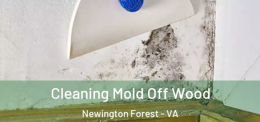 Cleaning Mold Off Wood Newington Forest - VA
