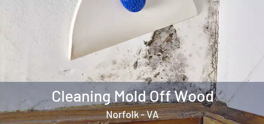 Cleaning Mold Off Wood Norfolk - VA