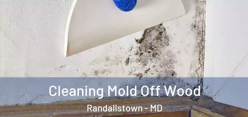 Cleaning Mold Off Wood Randallstown - MD