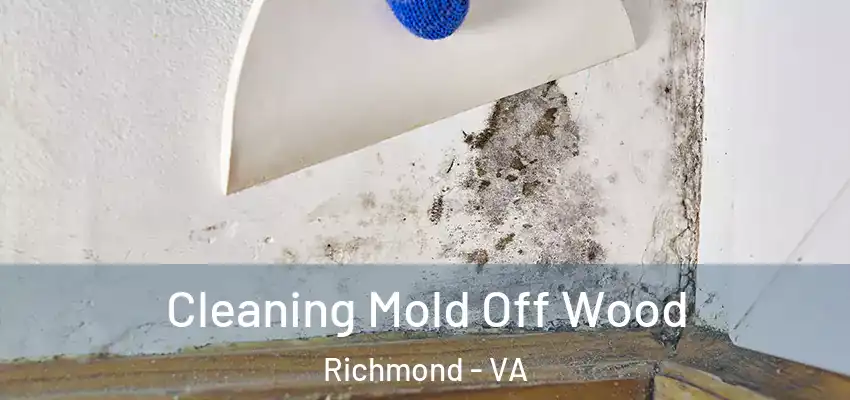 Cleaning Mold Off Wood Richmond - VA