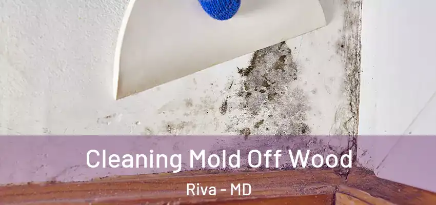 Cleaning Mold Off Wood Riva - MD