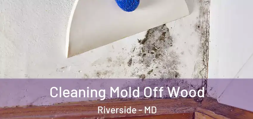  Cleaning Mold Off Wood Riverside - MD