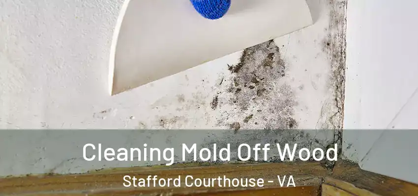 Cleaning Mold Off Wood Stafford Courthouse - VA