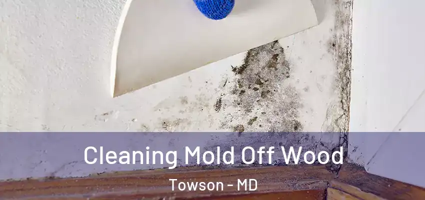Cleaning Mold Off Wood Towson - MD