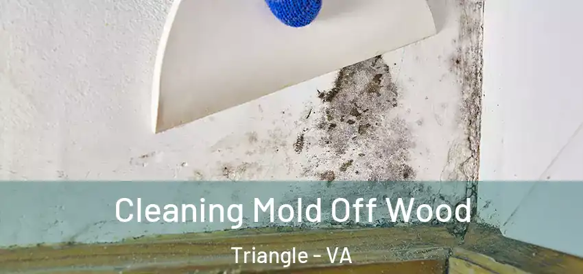 Cleaning Mold Off Wood Triangle - VA