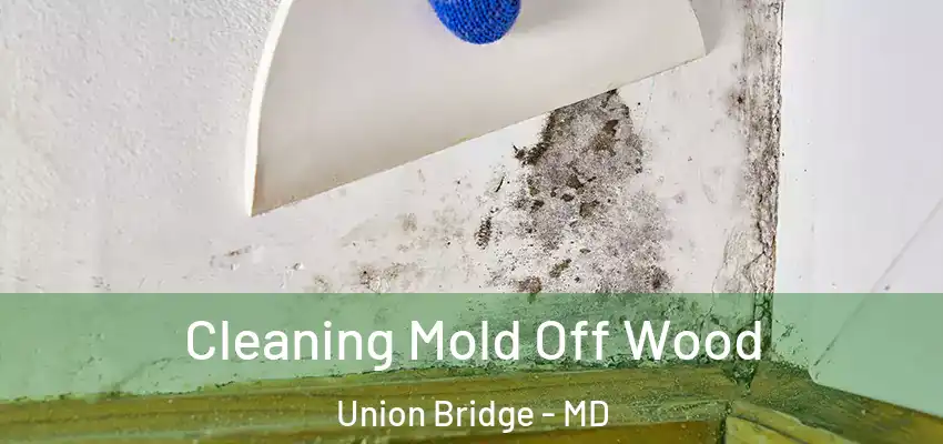 Cleaning Mold Off Wood Union Bridge - MD