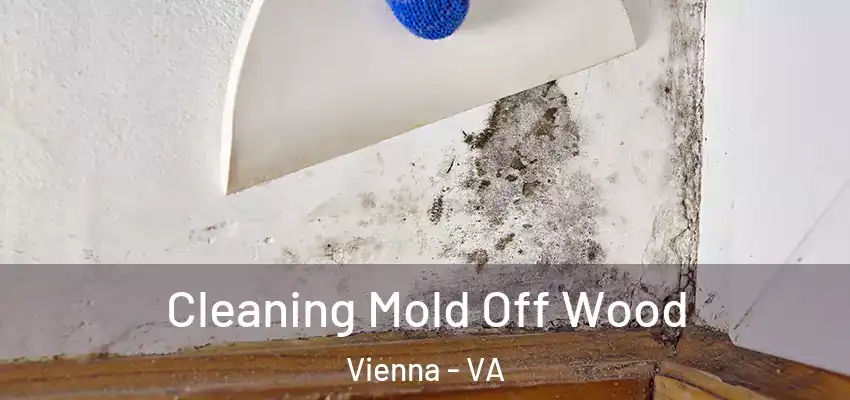 Cleaning Mold Off Wood Vienna - VA