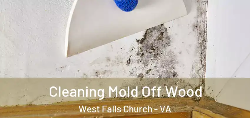  Cleaning Mold Off Wood West Falls Church - VA