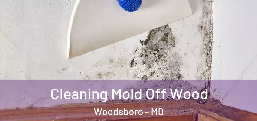 Cleaning Mold Off Wood Woodsboro - MD