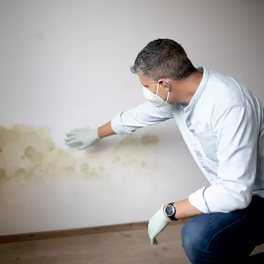 Trusted Mold Remediation and Removal Experts in Martinsburg, WV