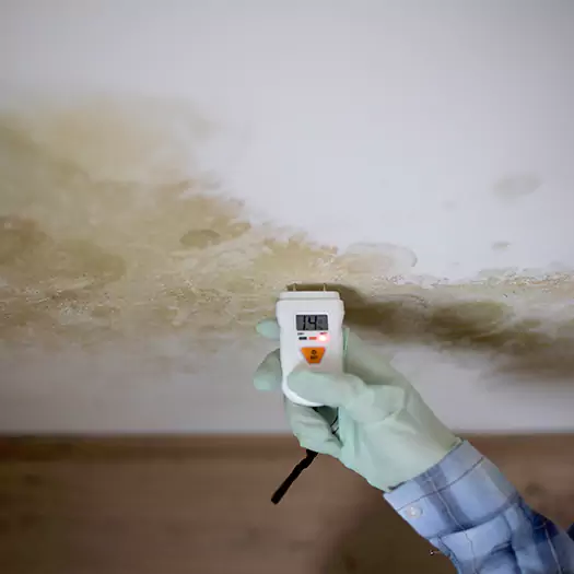 Reliable Mold Inspection Experts in Martinsburg, WV