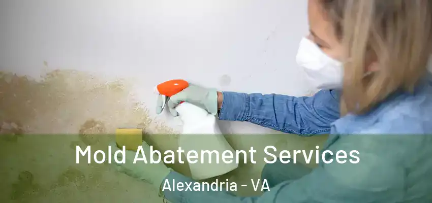 Mold Abatement Services Alexandria - VA