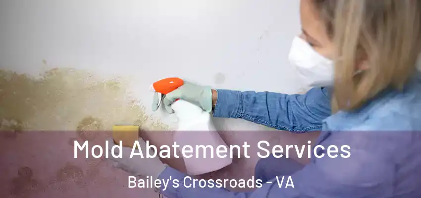 Mold Abatement Services Bailey's Crossroads - VA