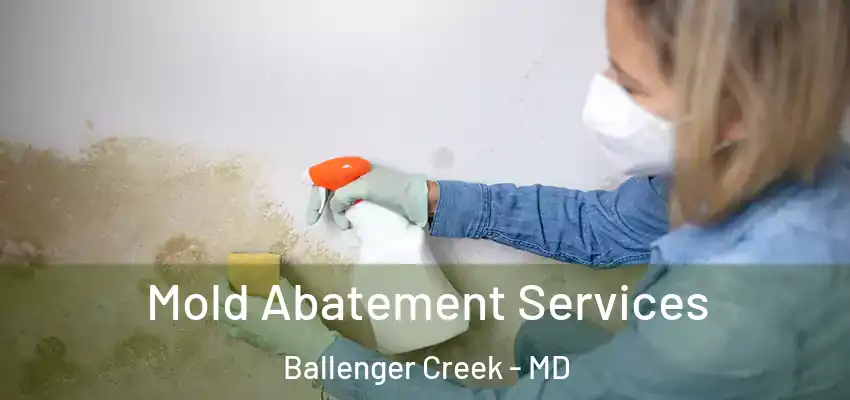 Mold Abatement Services Ballenger Creek - MD