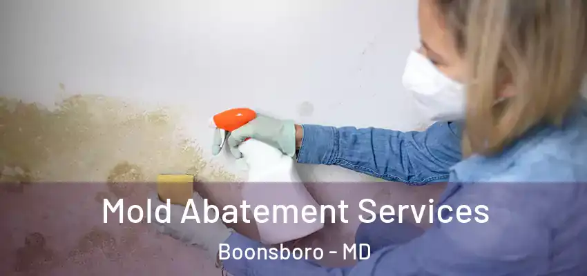 Mold Abatement Services Boonsboro - MD