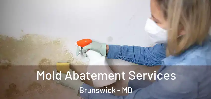 Mold Abatement Services Brunswick - MD