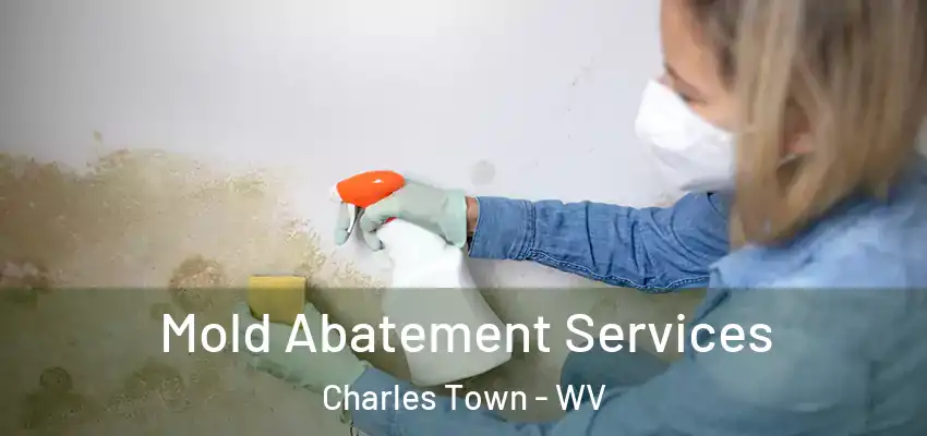 Mold Abatement Services Charles Town - WV