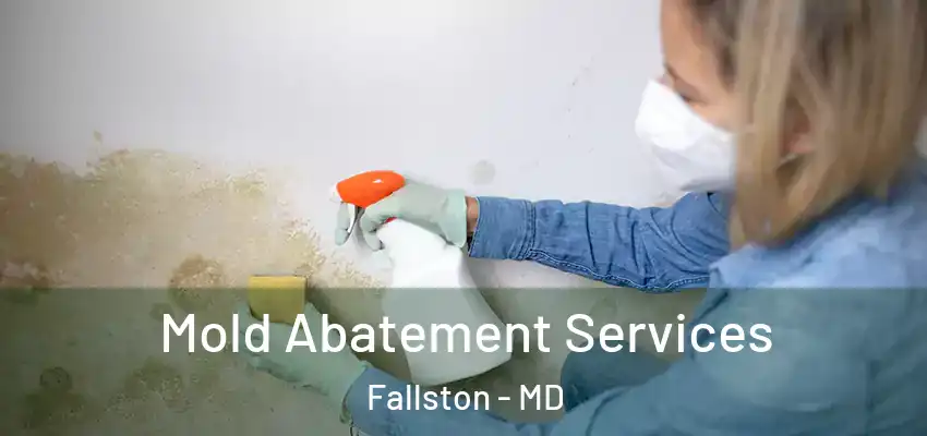 Mold Abatement Services Fallston - MD