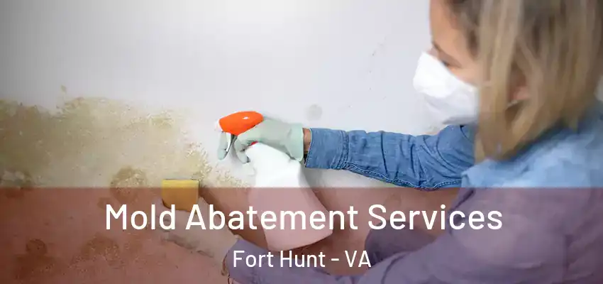 Mold Abatement Services Fort Hunt - VA
