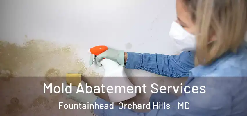  Mold Abatement Services Fountainhead-Orchard Hills - MD