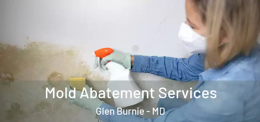  Mold Abatement Services Glen Burnie - MD