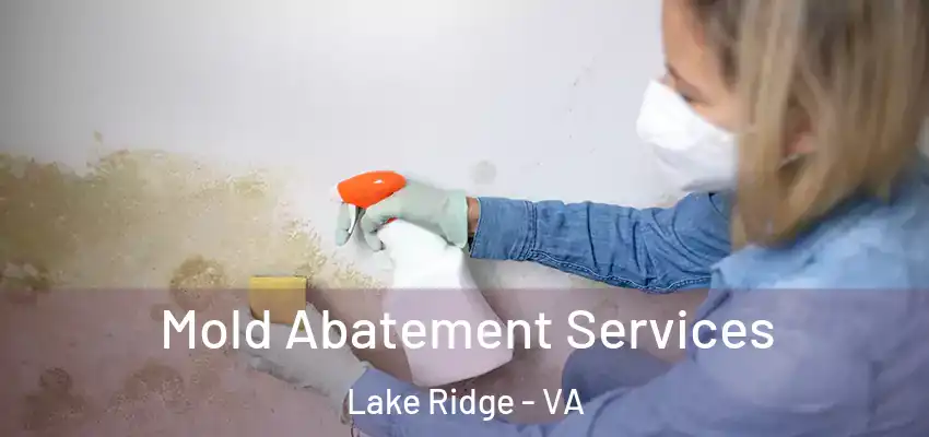Mold Abatement Services Lake Ridge - VA