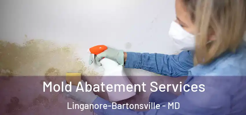 Mold Abatement Services Linganore-Bartonsville - MD
