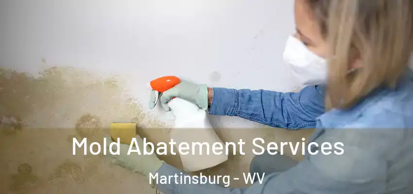 Mold Abatement Services Martinsburg - WV