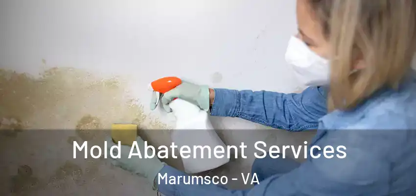 Mold Abatement Services Marumsco - VA