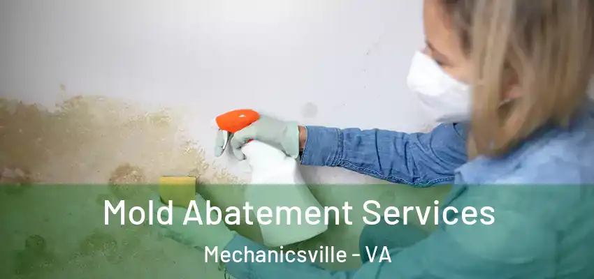  Mold Abatement Services Mechanicsville - VA