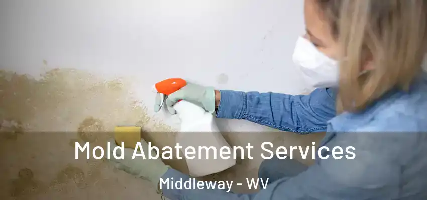 Mold Abatement Services Middleway - WV
