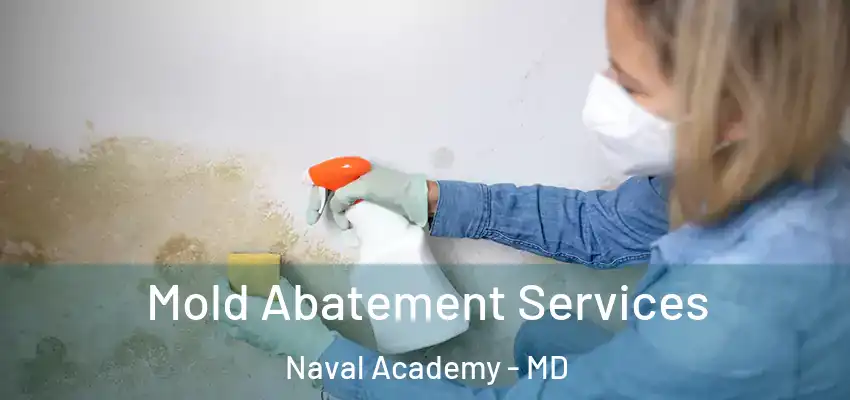 Mold Abatement Services Naval Academy - MD