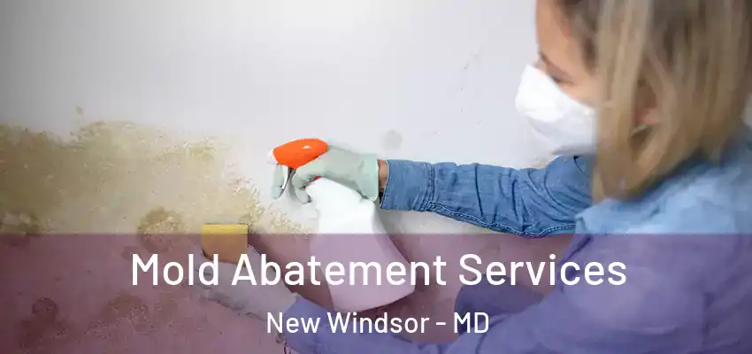 Mold Abatement Services New Windsor - MD