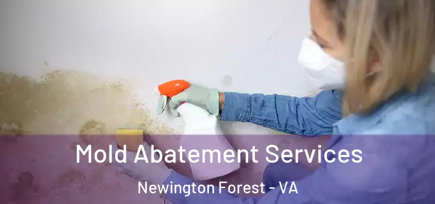 Mold Abatement Services Newington Forest - VA