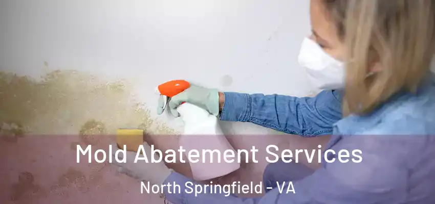 Mold Abatement Services North Springfield - VA