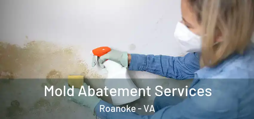 Mold Abatement Services Roanoke - VA