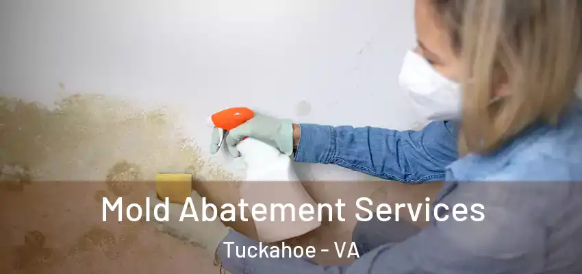  Mold Abatement Services Tuckahoe - VA